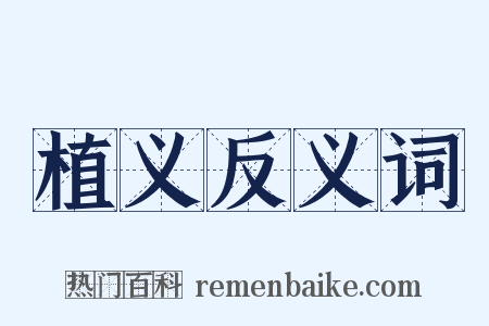 植义反义词是什么意思的图片